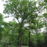 13-05-2010 (Tours - Parthenay), 1er jour