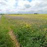 08-05-2013 (Tours - Parthenay), 1er jour