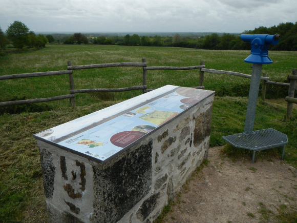 DSCN0831