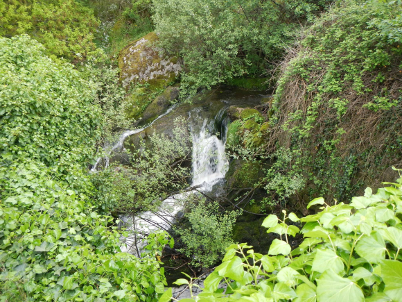 DSCN0868
