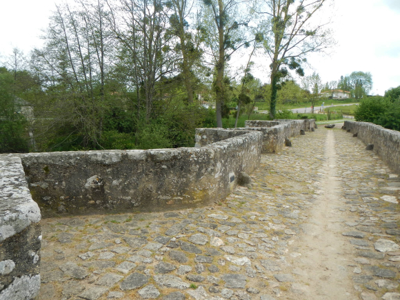 DSCN0904