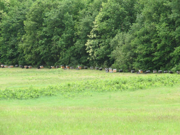 img_0119
