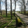 DSCN0705