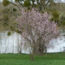 DSCN0722