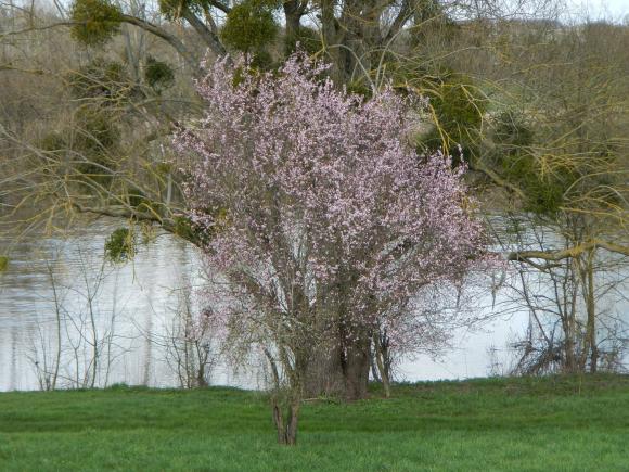 DSCN0722