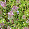 DSCN0726