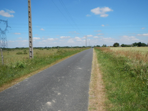 DSCN3575