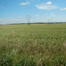 DSCN3576