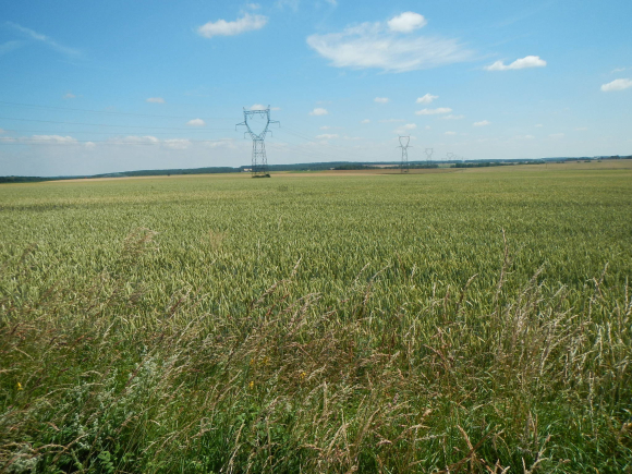 DSCN3576