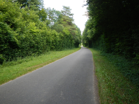 DSCN3593