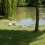 DSCN3597