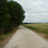 DSCN3623