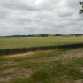 DSCN3624