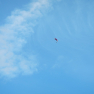 DSCN3636