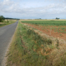 DSCN3641
